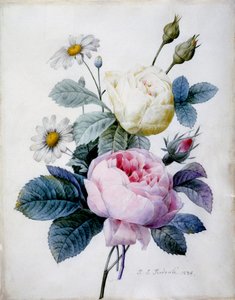 Bouquet de roses avec des marguerites, publié en 1834